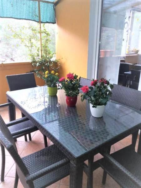 Apartman Lucica Zadar Exteriör bild