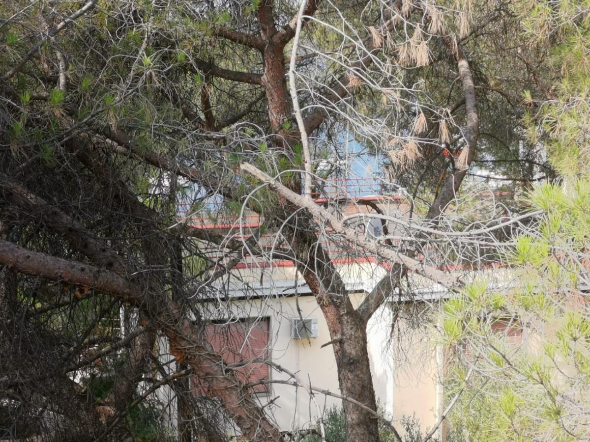 Apartman Lucica Zadar Exteriör bild